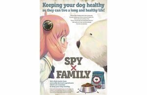 SPY×FAMILY スパイファミリー DVD 4巻 特典 描き下ろし ポスター ライナーノーツ アーニャ ボンド