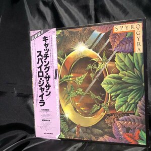 Spyro Gyra /Catching The Sun LP MCA Records・VICTOR