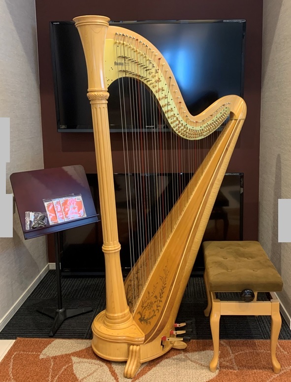 希少希少超価格 Walter ハープ 半音レバー付き WH-19BH 専用ケース付き