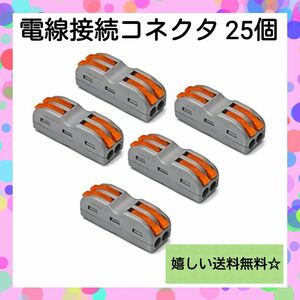 【端子】Fielect 電線接続コネクタ スプリング式 接線端子 25個 コネクタ プッシュ式 中継コネクタ 250V 32A