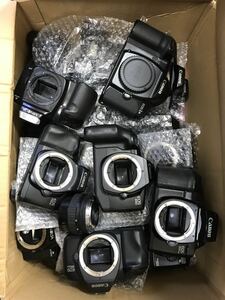 1 jpy start Canon EOS 1N etc. Canon camera great number Camera lens camera lens etc. summarize exhibition beautiful goods great number! operation not yet verification junk 