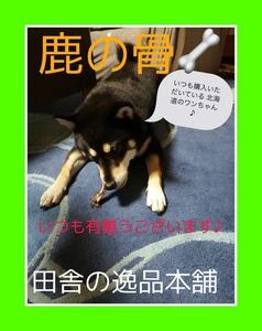 * one Chan. -stroke less departure ..* deer. . dog for chewing gum 100g and more small size dog ~ for medium-size dog 