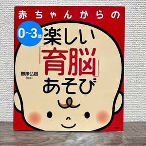 新品未使用品　【0〜3歳】赤ちゃんからの楽しい「育脳」あそび