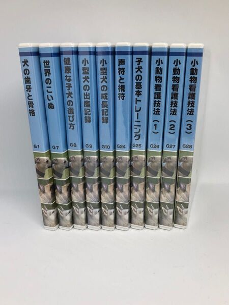 動物看護士 動物介護士 勉強本 DVDセット ヒューマンアカデミー正規品 ほぼ新品 一式全て揃っています