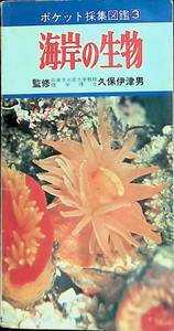 ポケット採集図鑑[3]　海岸の生物　久保伊津男　学研　YA230128K2