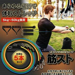 【新品未開封】HouseFit トレーニング 強化版 負荷5段 強度別5本セット