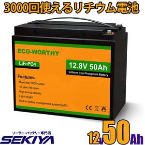 3000 times possible to use 50AH lithium ion battery 12V 640Wh battery Lynn acid iron lithium battery lifepo4 deep cycle BMS protection EcoWorthy