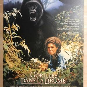 ★レア！「 Gorilles dans la brume (1988年）」 愛は霧のかなたに 1989年 フランス版 オリジナル ポスター 出演： Sigourney Weaverの画像1