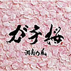 【中古】ガチ桜 / 湘南乃風 c13264【中古CDS】