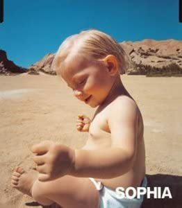 【中古】-僕はここにいる- / SOPHIA c13284【中古CDS】