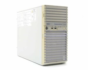 NEC Express5800/T110g-E Xeon E3-1220 v3 3.1GHz 8GB 500GBx2台(SATA2.5インチ/RAID1構成) DVD-ROM LSI MegaRAID SAS 9272-8i