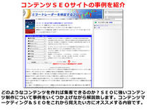 コンテンツＳＥＯ コンテンツマーケティング零細企業向けＤＶＤセミナー動画_画像4