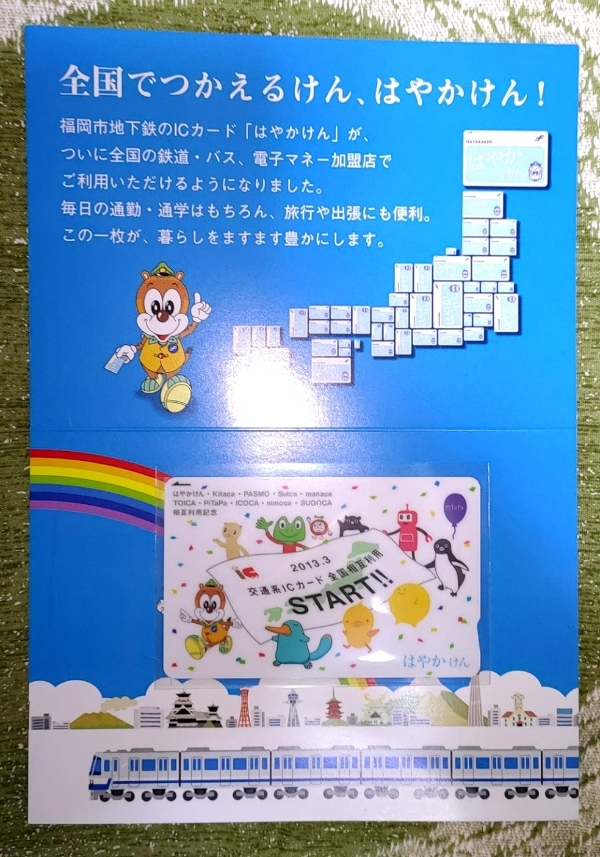 人気No.1】 はやかけん 限定イチョウ色 日本総代理店 - htii.edu.kz