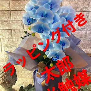 光触媒　人工観葉植物　ウォールグリーン　フェイク　フラワー　リアル胡蝶蘭bl