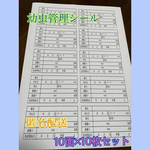 【匿名&24時間以内配送】幼虫管理ラベルシール　10枚セット