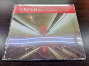 CD / you can go your own way / Chris Rea　クリス・レア / 『D12』 / 中古