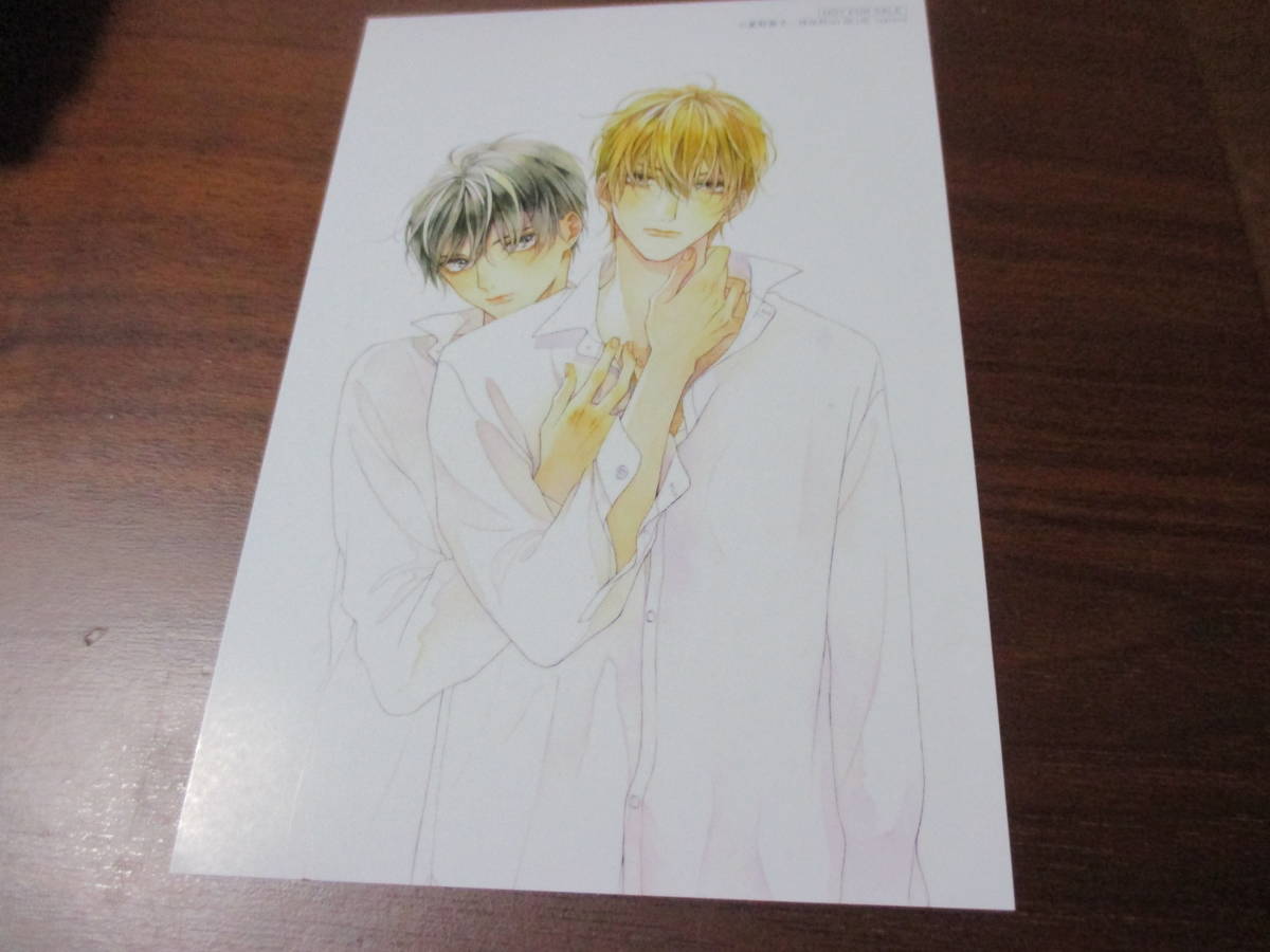 ヤフオク! -夏野寛子の中古品・新品・未使用品一覧