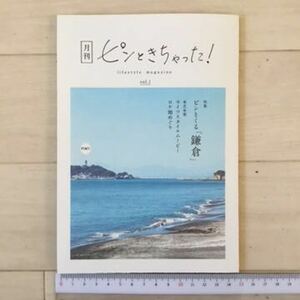 満島ひかり井之脇海東芝家電ライフスタイルムービーロケ地めぐり特集ピンとくる鎌倉フリーペーパー月刊ピンときちゃったロケ地マップ