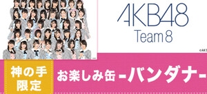 神の手　TIF2017　お楽しみ缶　バンダナ　チェキ　AKB48（チーム8）（16期研究生） SKE48 HKT48 NGT48 STU48　好きな複製チェキ選べます