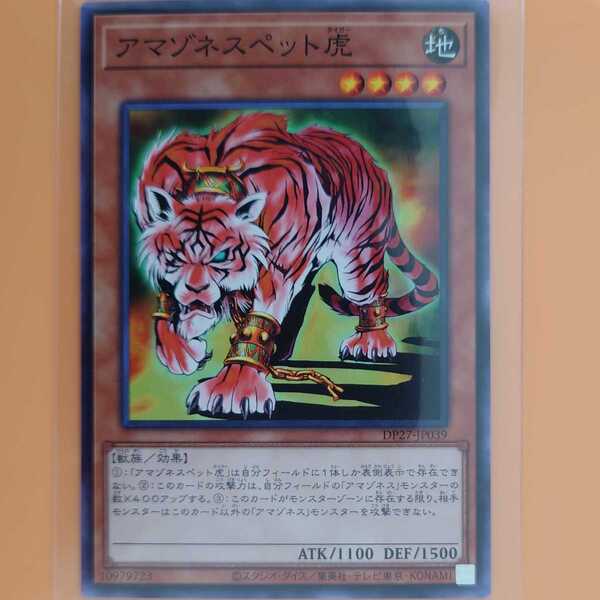 遊戯王 アマゾネスペット虎
