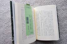 思索する湯川秀樹 日本人初のノーベル賞受賞者の天才論 (世界思想社) 山崎國紀_画像9