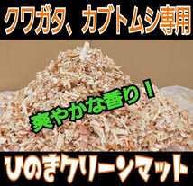 クワガタの成虫飼育はコレ！　爽やかな香りの針葉樹クリーンマット　ダニが湧きません！　ケース内が明るくなり生体がかっこ良く見える_画像4