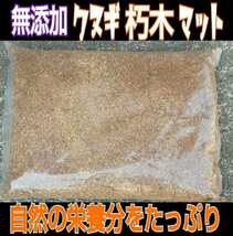 クワガタの産卵木の埋め込みにどうぞ！　無添加クヌギ100％朽木粉砕マット【10L】自然の栄養素たっぷり　自分で発酵マットを作る原料にも！_画像8