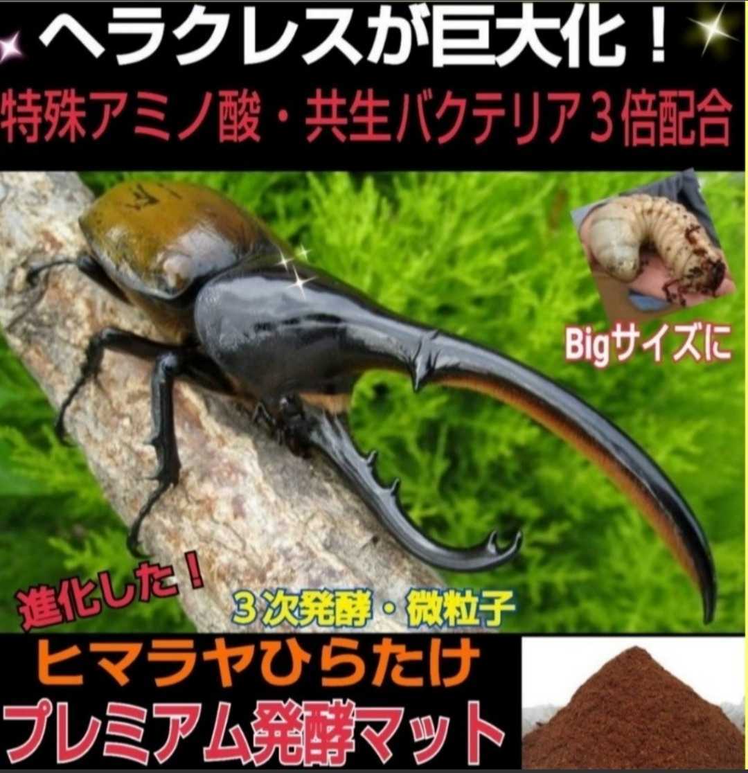 2023年最新】Yahoo!オークション -ヘラクレス 産卵マットの中古品