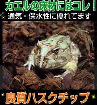 リクガメの床材はコレが一番！良質ハスクチップ☆5リットル袋　　厳選した良質な天然素材100％ 通気・保水性に優れ清潔な環境をつくります_画像4