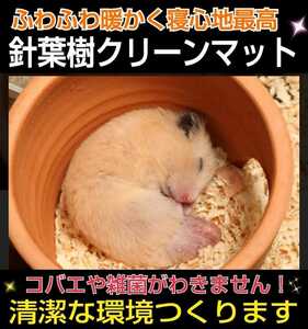  squirrel * hamster *morumoto* rabbit. flooring .! soft. needle leaved tree mat [2 sack ] mites *kobae prevention! anti-bacterial, deodorization effect equipped! refreshing . fragrance. 