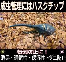 カブトムシの転倒防止に最適なマット☆成虫管理用ハスクチップ☆5リットル袋☆厳選した良質な天然素材100％ 消臭・保水性に優れダニ防止に_画像7