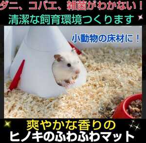  squirrel * hamster *morumoto* rabbit. flooring .! soft. needle leaved tree mat [2 sack ] mites *kobae prevention! anti-bacterial, deodorization effect equipped! refreshing . fragrance. 