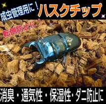 カブトムシの転倒防止に最適なマット　成虫管理用ハスクチップ　5リットル袋☆厳選した良質な天然素材100％ 消臭・保水性に優れダニ防止に_画像8