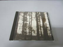 Cindytalk/The Wind Is Strong... UK向Austria盤CD ネオサイケ ダークウェイブ アンビエント ドローン Cocteau Twins My Bloody Valentine_画像1
