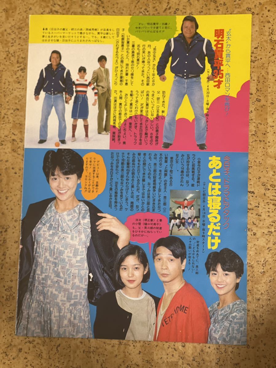 白木/黒塗り 昭和レトロ 4大婦人誌 新年特大号 のれん | www.aosfiji.org
