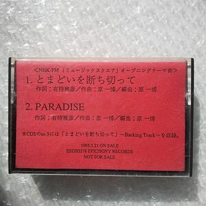 カセットテープ WILD STYLE とまどいを断ち切って / Paradise ワイルドスタイルWild in Paradise