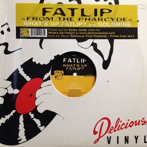 12inchレコード　FATLIP / WHAT'S UP FATLIP?