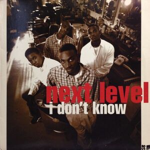 12inchレコード　NEXT LEVEL / I DON'T KNOW