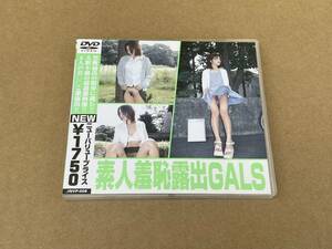 アダルトDVD 素人羞恥露出GALS ネクストイレブンクラブ NEXT11CLUB JNVP-008 VND-2041 JAN:4532169800086