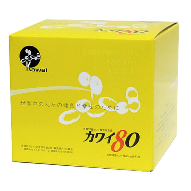 在庫処分・数量限定 カワイ300(2箱セット) | www.tegdarco.com