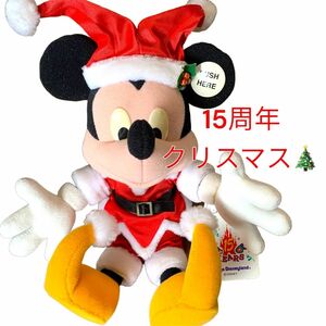 ぬいぐるみ ディズニー　クリスマス　サンタ　コスチューム　ワイヤー入り　