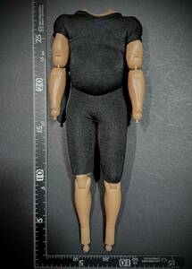 【在1/売り切り/即決】SL Custom製 模型 1/6 男性 フィギュア 素体 メタボ 中年太り 肉襦袢付 衣装を着せて飾る為の素となる部品 (未使用