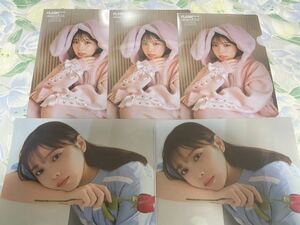 . rice field .. clear file 5 pieces set FLASH special gravure BEST 2023 year new year appendix 