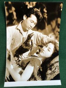 荒川さつき、スチール写真、密林の女豹、1950年、大映