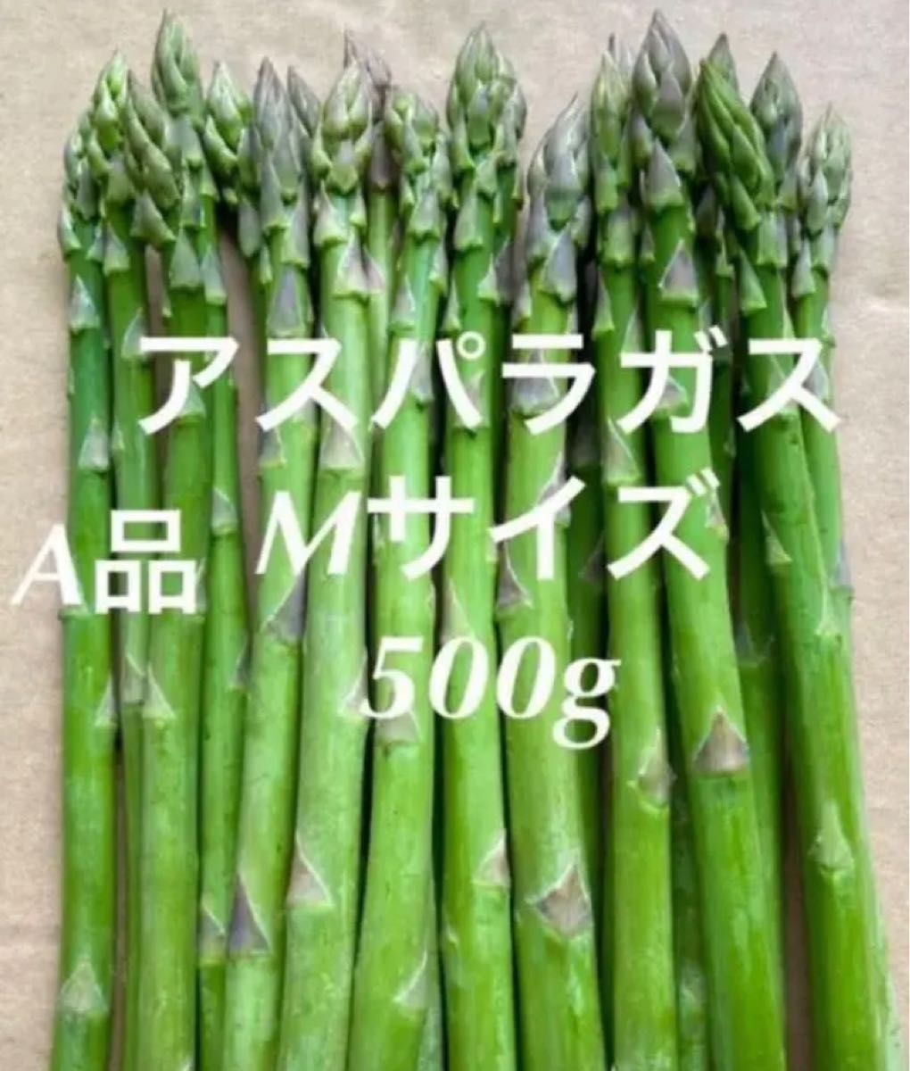 翌年収穫可】北海道産 アスパラガス 特大 株 苗|PayPayフリマ