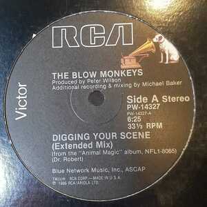 THE BLOW MONKEYS / DIGGING YOUR SCENE /DR ROBERT,DJ MURO MIX-CD 収録,DIMITRI FROM PARIS,DUBBY,STREET SOUL 