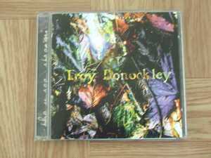 【CD】トロイ・ドノックリー Troy Donockley / The Unseen Stream 日本語解説有り