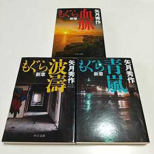 もぐら新章 文庫3冊セット 血脈 波濤 青嵐 矢月秀作 中公文庫 中古 アクション ハードボイルド 小説 竜星