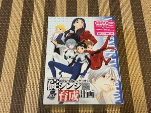 ☆即決！！☆新世紀エヴァンゲリオン 碇シンジ育成計画[DVD-ROM版]☆新品未開封♪☆