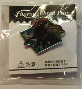 ダンツフレーム　サラピン 東ハト まねき馬倶楽部 新品未開封 Thoroughbred Pins JRA 競馬